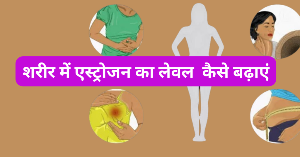 शरीर में एस्ट्रोजन (Estrogen) का लेवल कैसे बढ़ाएं